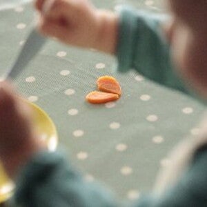 L'importanza del baby food
