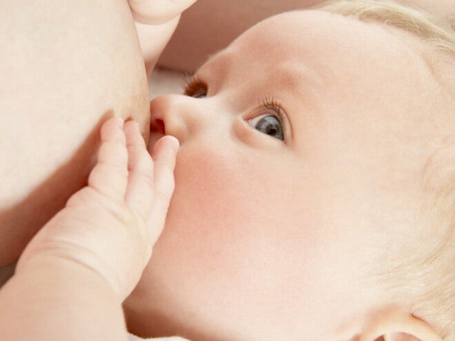 Ferro e vitamina C per il sistema immunitario dei bambini Ferro e vitamina C per il sistema immunitario dei bambini